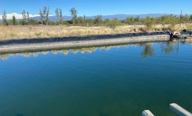 Campo de 3 has ingreso por calle  Vargas y Castro Barros Maipu