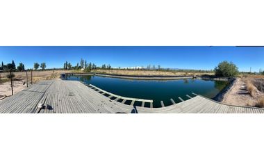 Campo de 3 has ingreso por calle  Vargas y Castro Barros Maipu