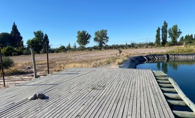 Campo de 3 has ingreso por calle  Vargas y Castro Barros Maipu