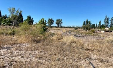 Campo de 3 has ingreso por calle  Vargas y Castro Barros Maipu