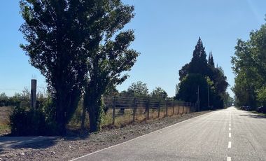 Campo de 3 has ingreso por calle  Vargas y Castro Barros Maipu