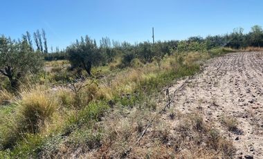 Campo de 3 has ingreso por calle  Vargas y Castro Barros Maipu