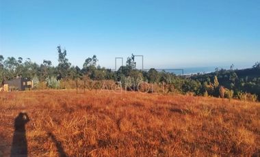 Casa en Venta en 5.000m2 de terreno con cabaña y quincho. Altos de Cobquecura.