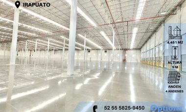 Rent industrial property in the Irapuato area