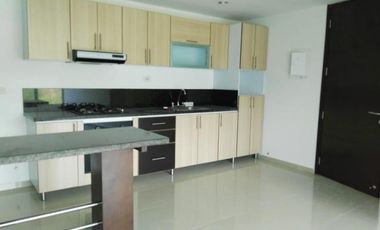 apartamento en arriendo en bellavista,torre panoramic torre 2 apt 502. Cod A115