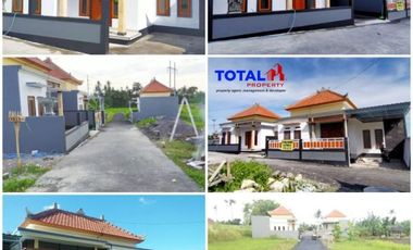 Dijual Rumah Minimalis MURAH Include Pajak Mulai Hrg 300 Jtan di Pering, Blahbatuh, Gianyar