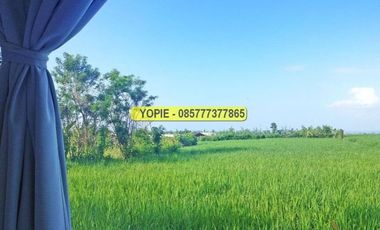 Dijual rumah murah di bogor