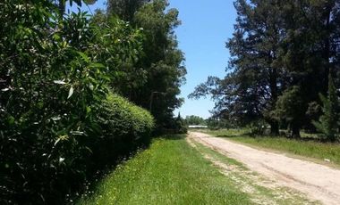 Terreno en venta en General Pueyrredón, Mar del Plata