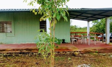 Excelente Opción, Rancho en Venta de 32 has, 2 km de Tizimin