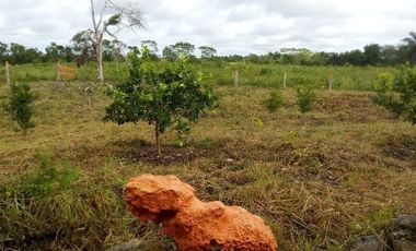 Excelente Opción, Rancho en Venta de 32 has, 2 km de Tizimin