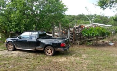 Excelente Opción, Rancho en Venta de 32 has, 2 km de Tizimin
