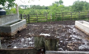 Excelente Opción, Rancho en Venta de 32 has, 2 km de Tizimin