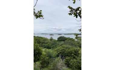 MEGALOTE- LOTE DE GRAN EXTENSIÓN EN BARU SOBRE VIA PRINCIPAL PLAYETAS
