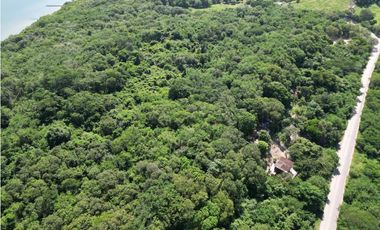 MEGALOTE- LOTE DE GRAN EXTENSIÓN EN BARU SOBRE VIA PRINCIPAL PLAYETAS
