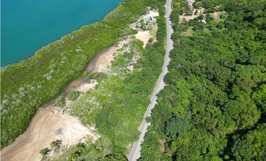 MEGALOTE- LOTE DE GRAN EXTENSIÓN EN BARU SOBRE VIA PRINCIPAL PLAYETAS