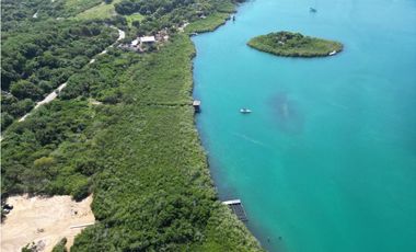 MEGALOTE- LOTE DE GRAN EXTENSIÓN EN BARU SOBRE VIA PRINCIPAL PLAYETAS