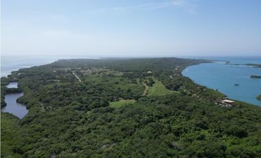 MEGALOTE- LOTE DE GRAN EXTENSIÓN EN BARU SOBRE VIA PRINCIPAL PLAYETAS