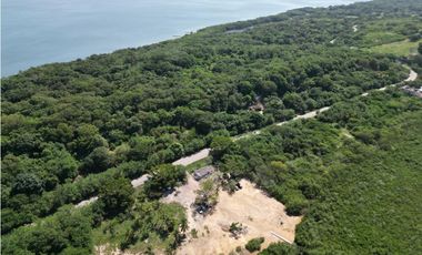 MEGALOTE- LOTE DE GRAN EXTENSIÓN EN BARU SOBRE VIA PRINCIPAL PLAYETAS