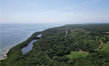 MEGALOTE- LOTE DE GRAN EXTENSIÓN EN BARU SOBRE VIA PRINCIPAL PLAYETAS
