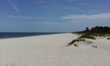 Terreno Frente al Mar en Cancun en Venta Playa Mujeres