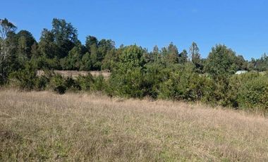 VENTA DE PARCELA  5000 M2 SECTOR CASAHUE
