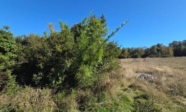 VENTA DE PARCELA  5000 M2 SECTOR CASAHUE