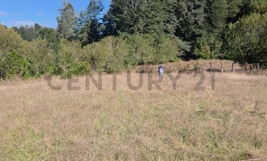 VENTA DE PARCELA  5000 M2 SECTOR CASAHUE