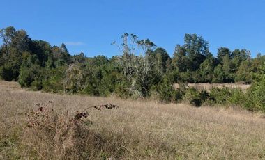 VENTA DE PARCELA  5000 M2 SECTOR CASAHUE