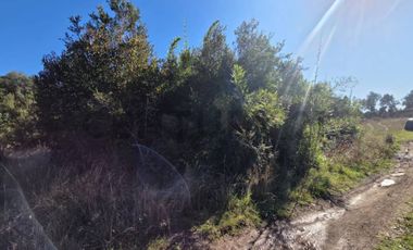 VENTA DE PARCELA  5000 M2 SECTOR CASAHUE