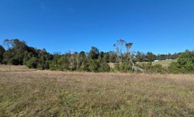 VENTA DE PARCELA  5000 M2 SECTOR CASAHUE