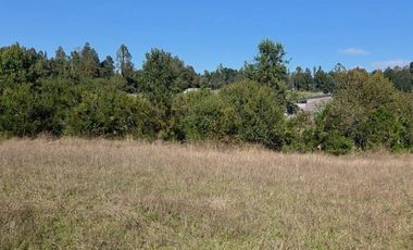 VENTA DE PARCELA  5000 M2 SECTOR CASAHUE