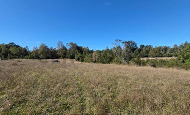 VENTA DE PARCELA  5000 M2 SECTOR CASAHUE