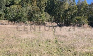 VENTA DE PARCELA  5000 M2 SECTOR CASAHUE