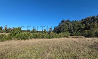 VENTA DE PARCELA  5000 M2 SECTOR CASAHUE