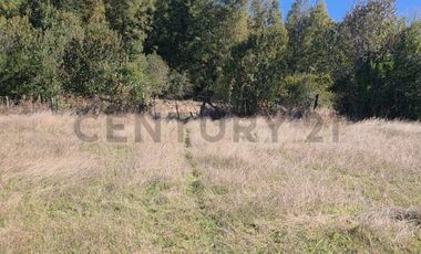 VENTA DE PARCELA  5000 M2 SECTOR CASAHUE