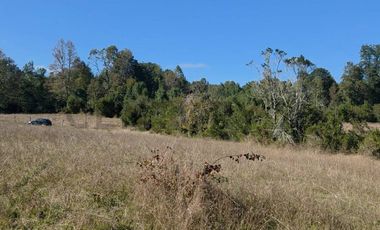 VENTA DE PARCELA  5000 M2 SECTOR CASAHUE