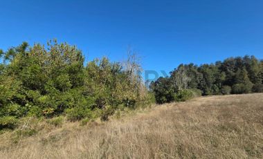 VENTA DE PARCELA  5000 M2 SECTOR CASAHUE
