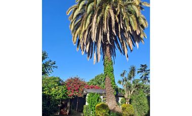 Hermoso Chalet en 2 plantas con Parque