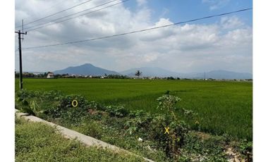 Jual Tanah Sangat Strategis Dibawah Pasaran Rancaekek Bandung