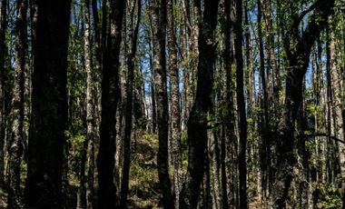 Loteo Piedra Negra, Segunda Faja Villarrica-Pucón
