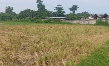 Land near Jl. Saleh Sungkar Ampenan
