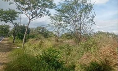 Dijual tanah suramadu lokasi 0 jalan raya