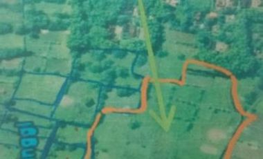 Dijual tanah suramadu lokasi 0 jalan raya