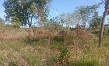 Dijual tanah suramadu lokasi 0 jalan raya