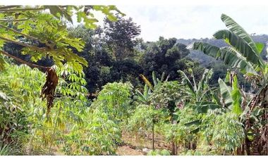 Villa Dijual Hitung Tanah Dibawah Harga Pasaran Bandung