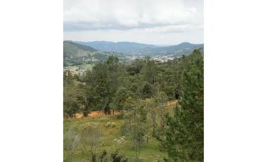 LOTES EN EL RETIRO VEREDA EL CARMEN CERCA A LA ARGENTINA