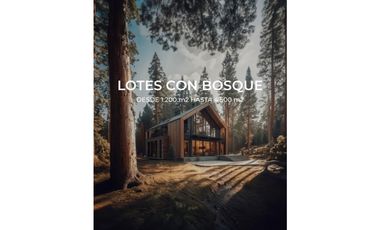 LOTES EN EL RETIRO VEREDA EL CARMEN CERCA A LA ARGENTINA