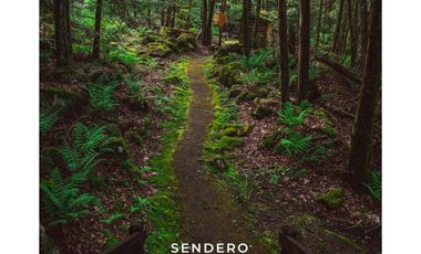 LOTES EN EL RETIRO VEREDA EL CARMEN CERCA A LA ARGENTINA