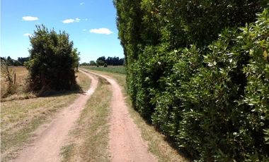 Casa con dos galpones sobre lote de 1900 m2 + 4 hectares de tierra en lo mejor de Nicanor Otamendi