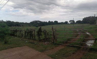 Se vende terreno en Chitré